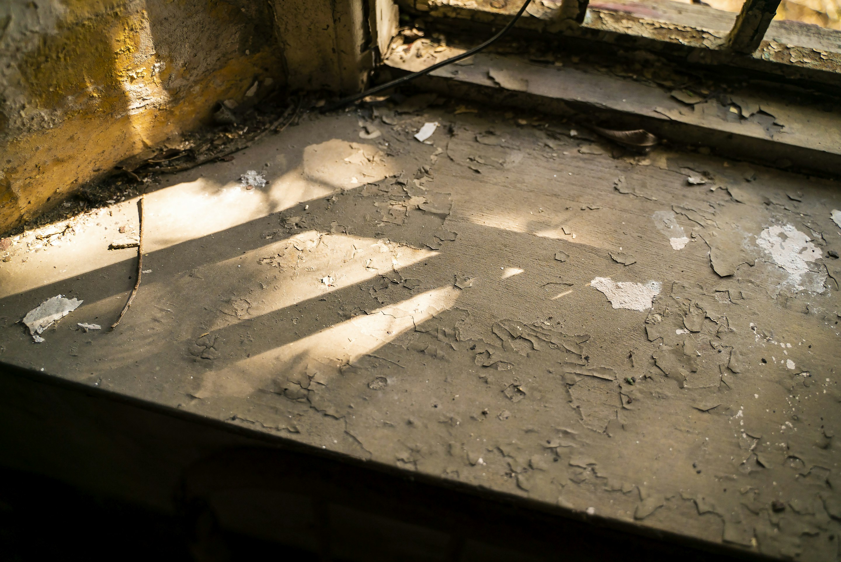 _DSC1203 -