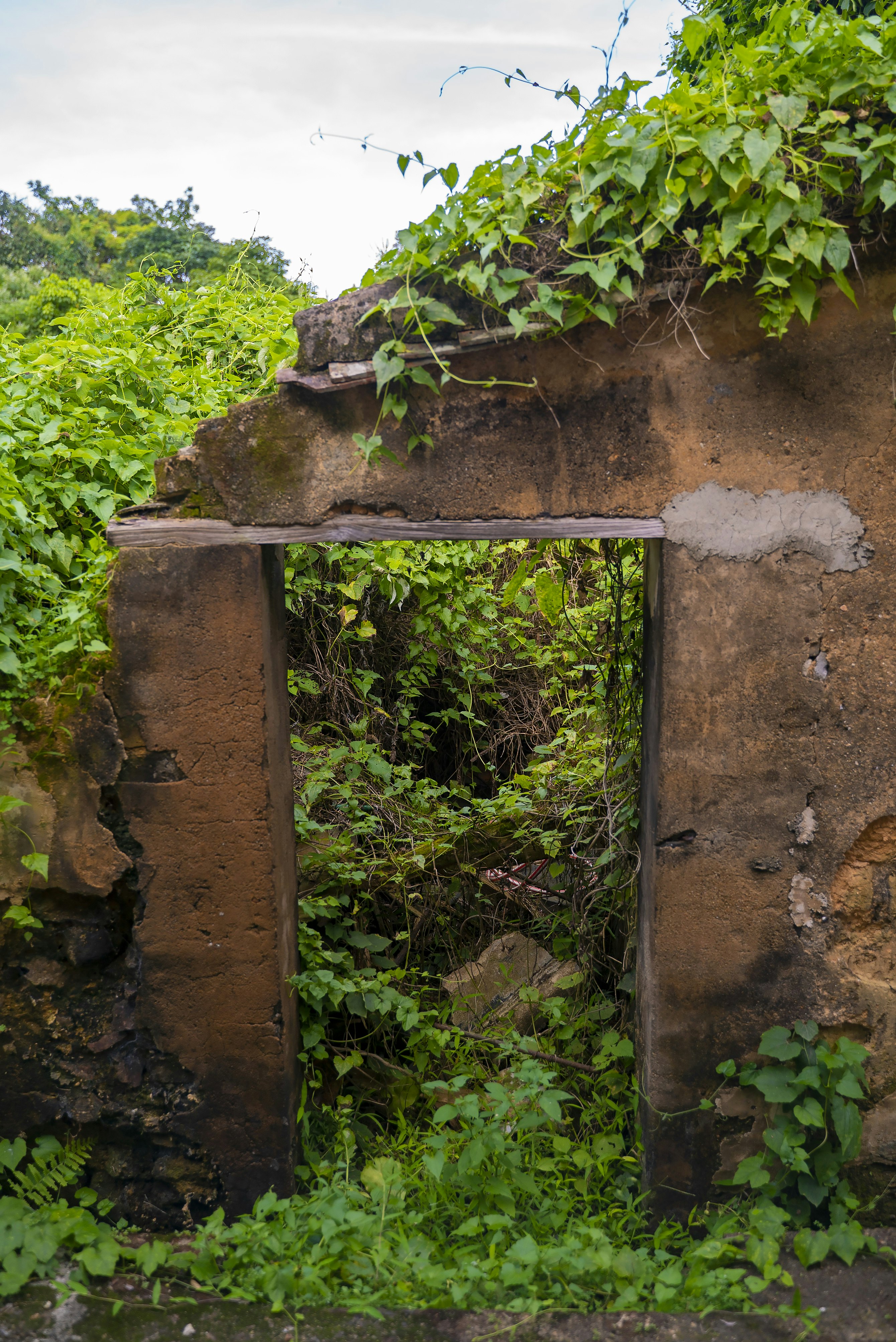_DSC1482 -