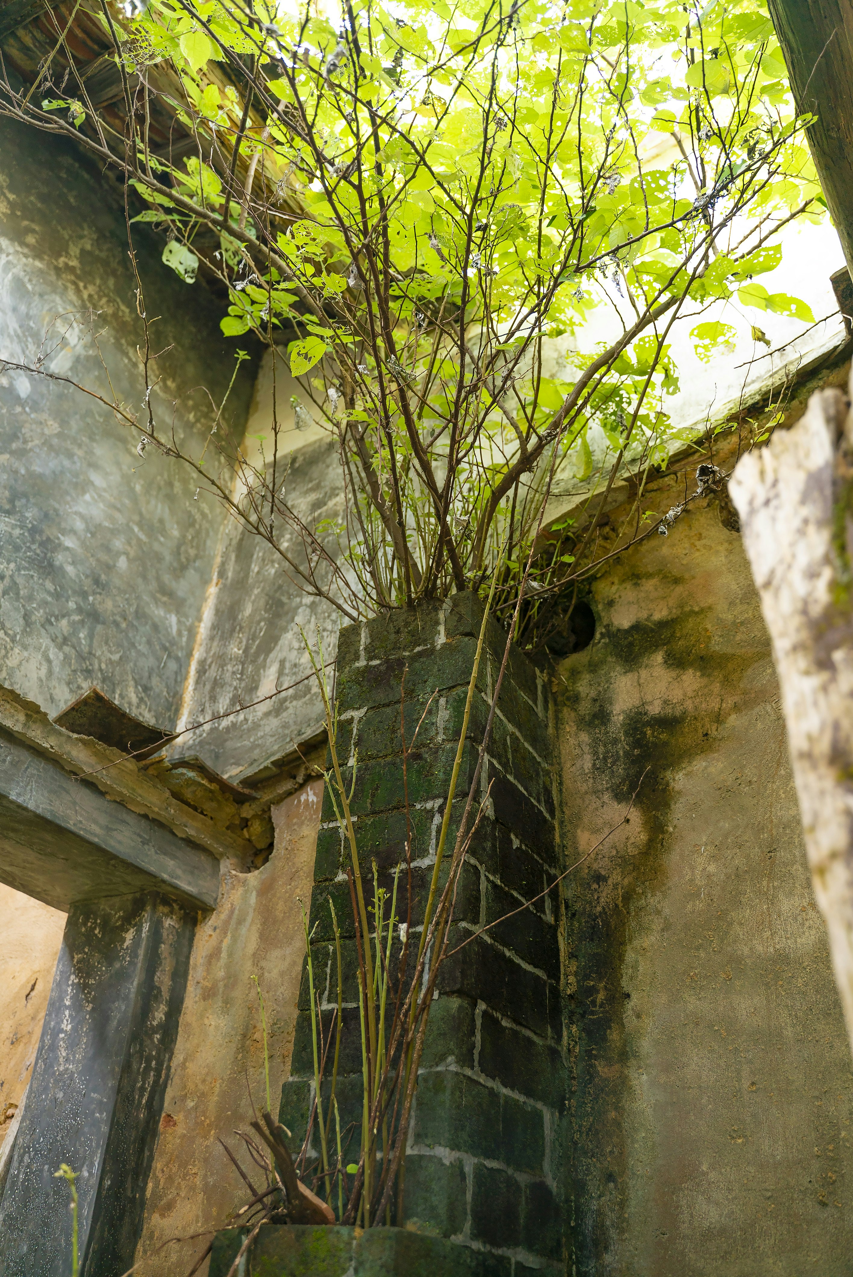 _DSC1531 -