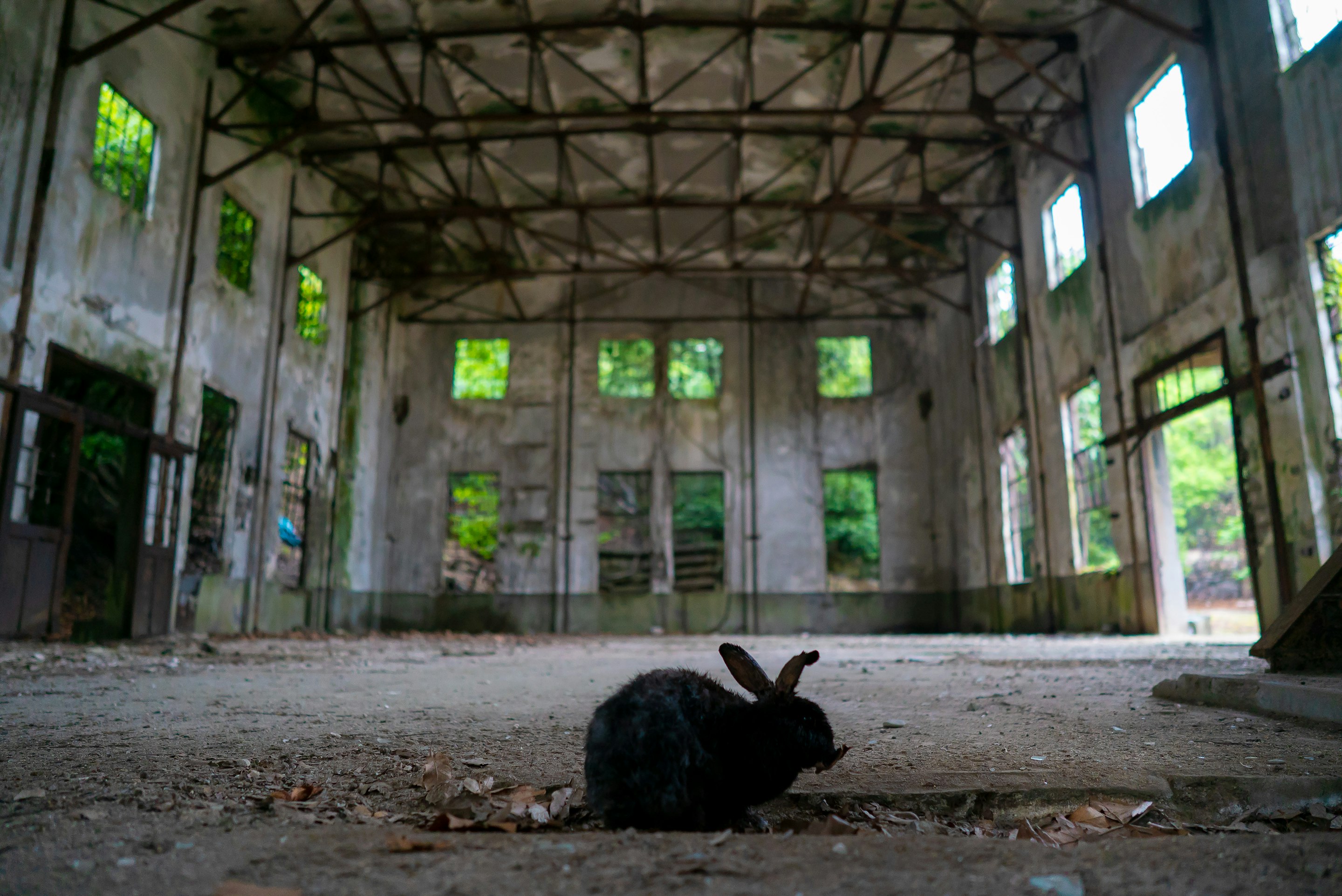 _DSC5580 -