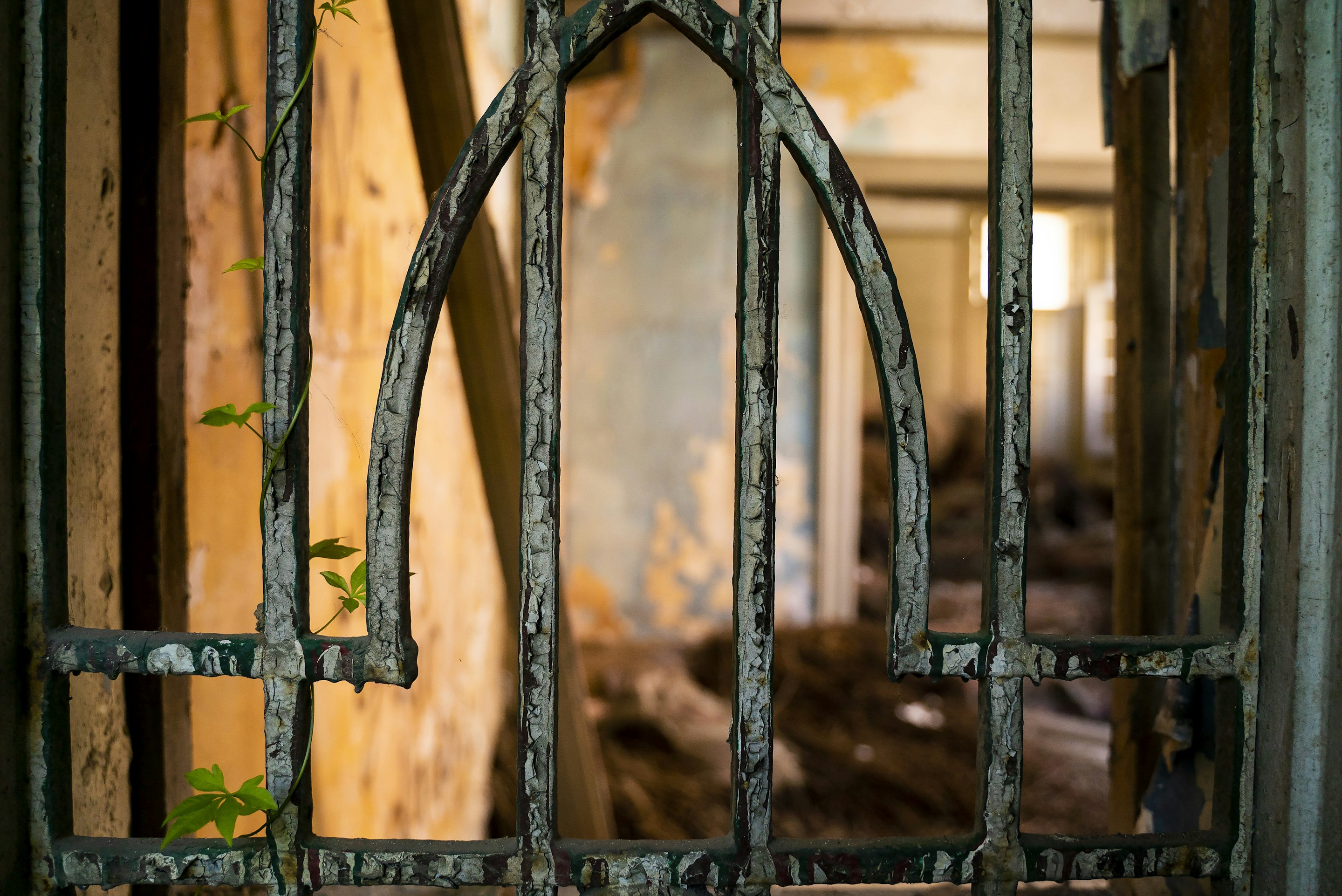 _DSC1136 -