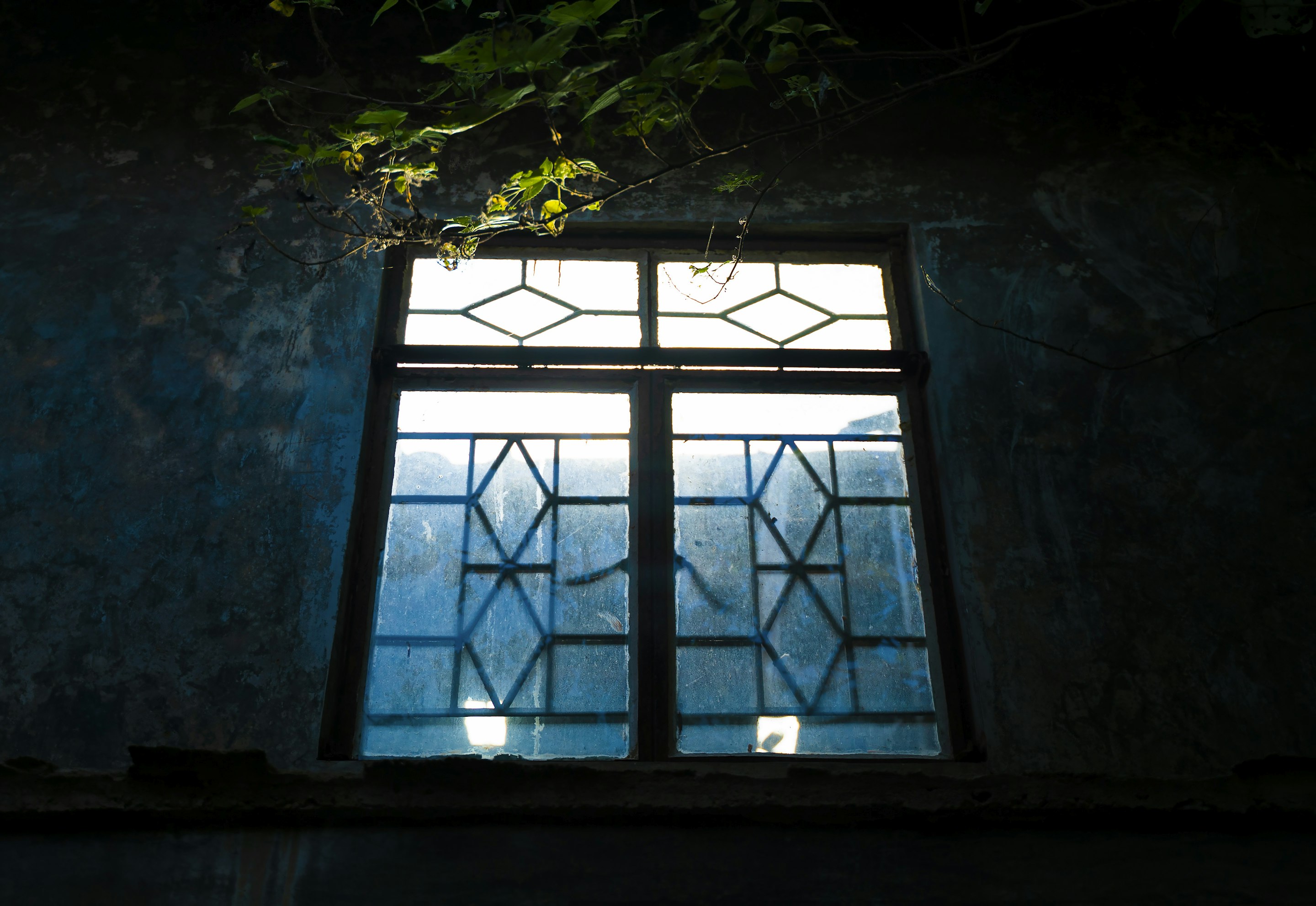 _DSC1528 -