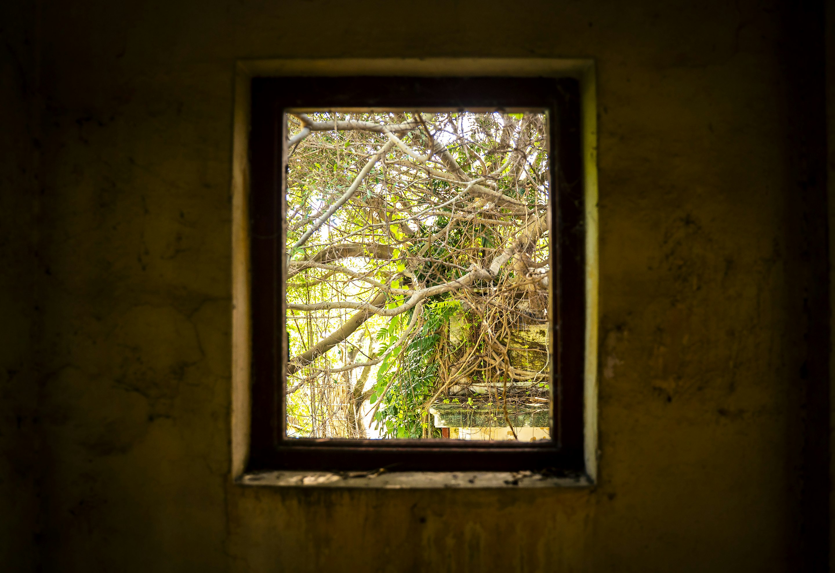_DSC1241 -