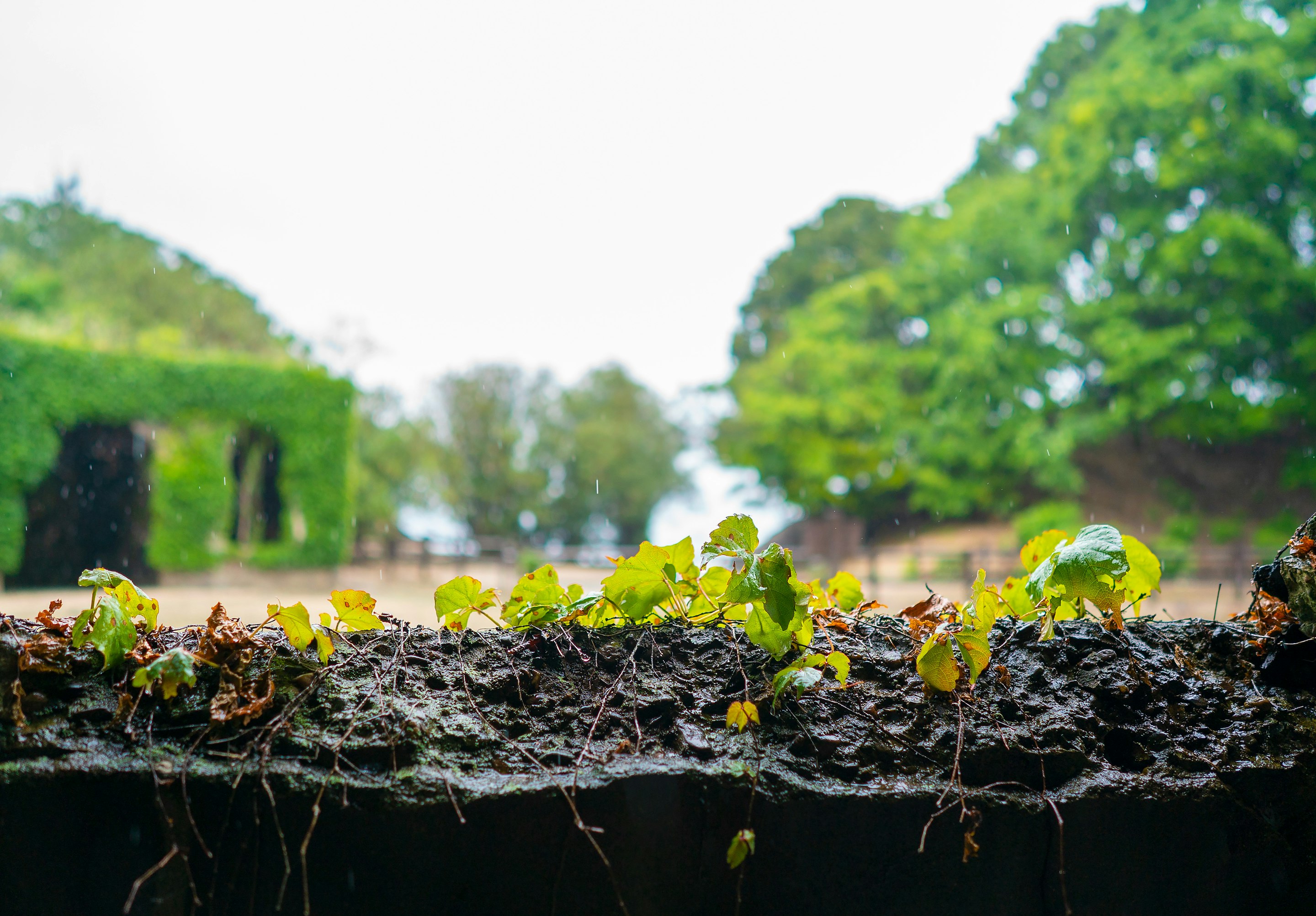 _DSC5480 -