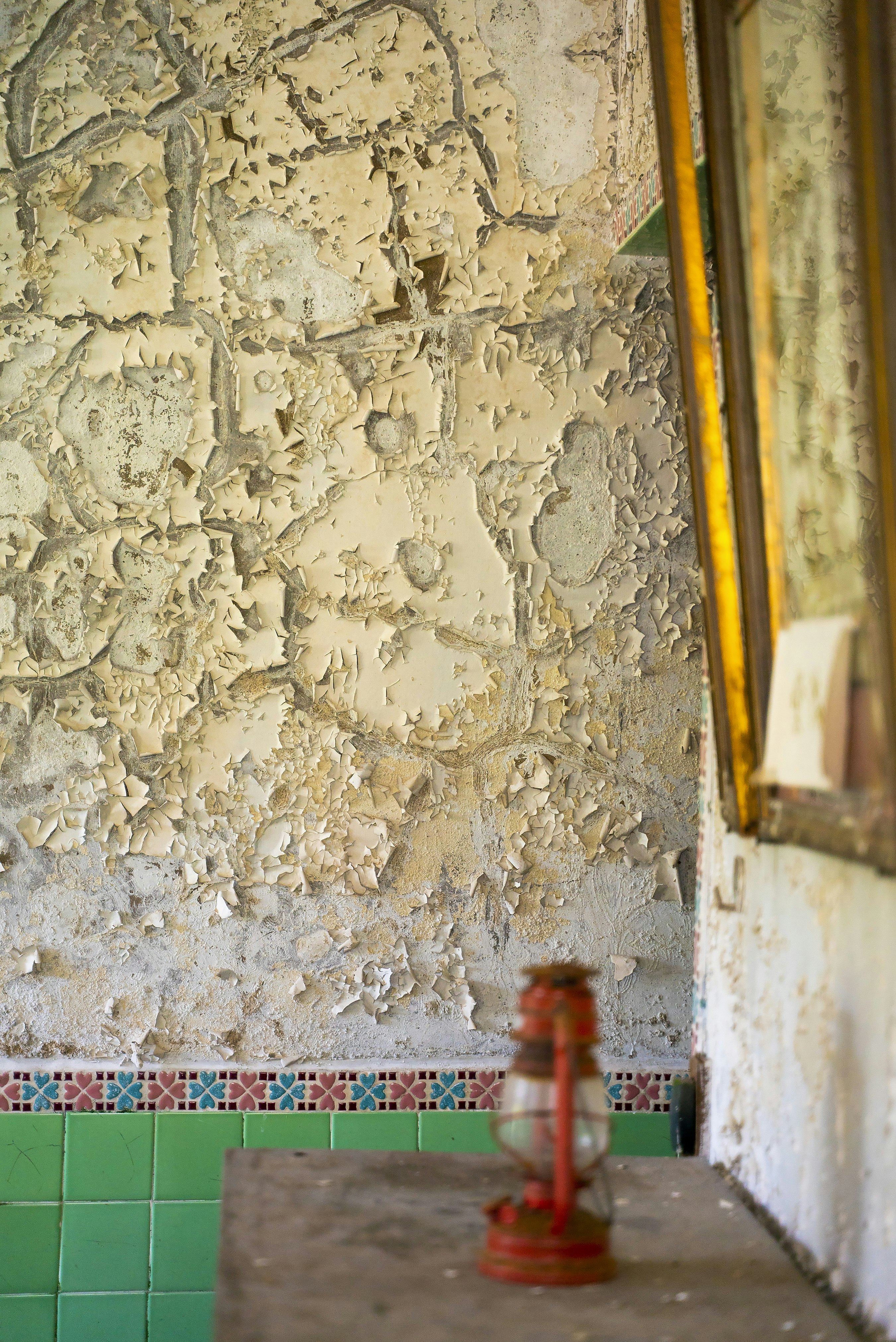 _DSC1414-2 -