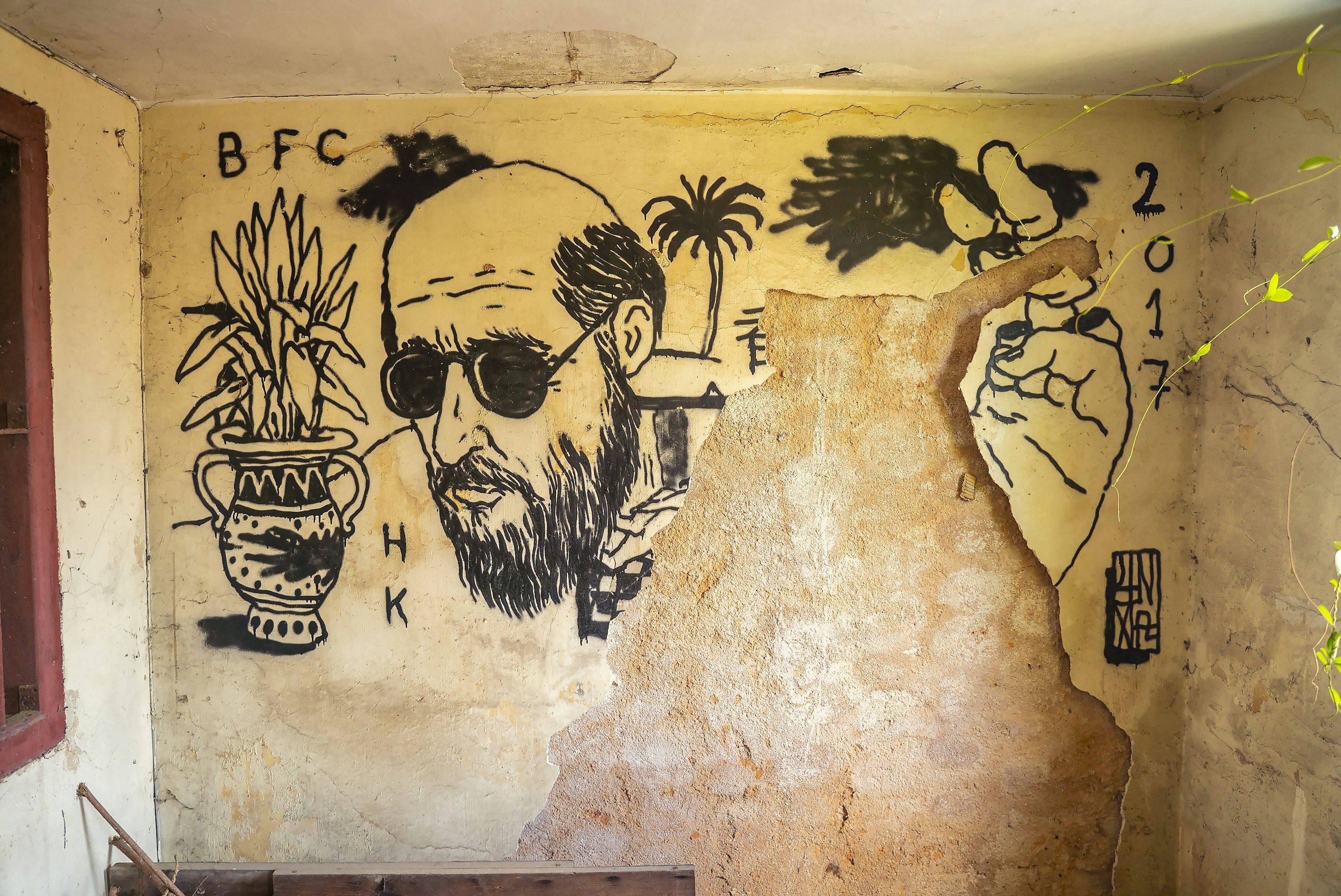 _DSC1247 -