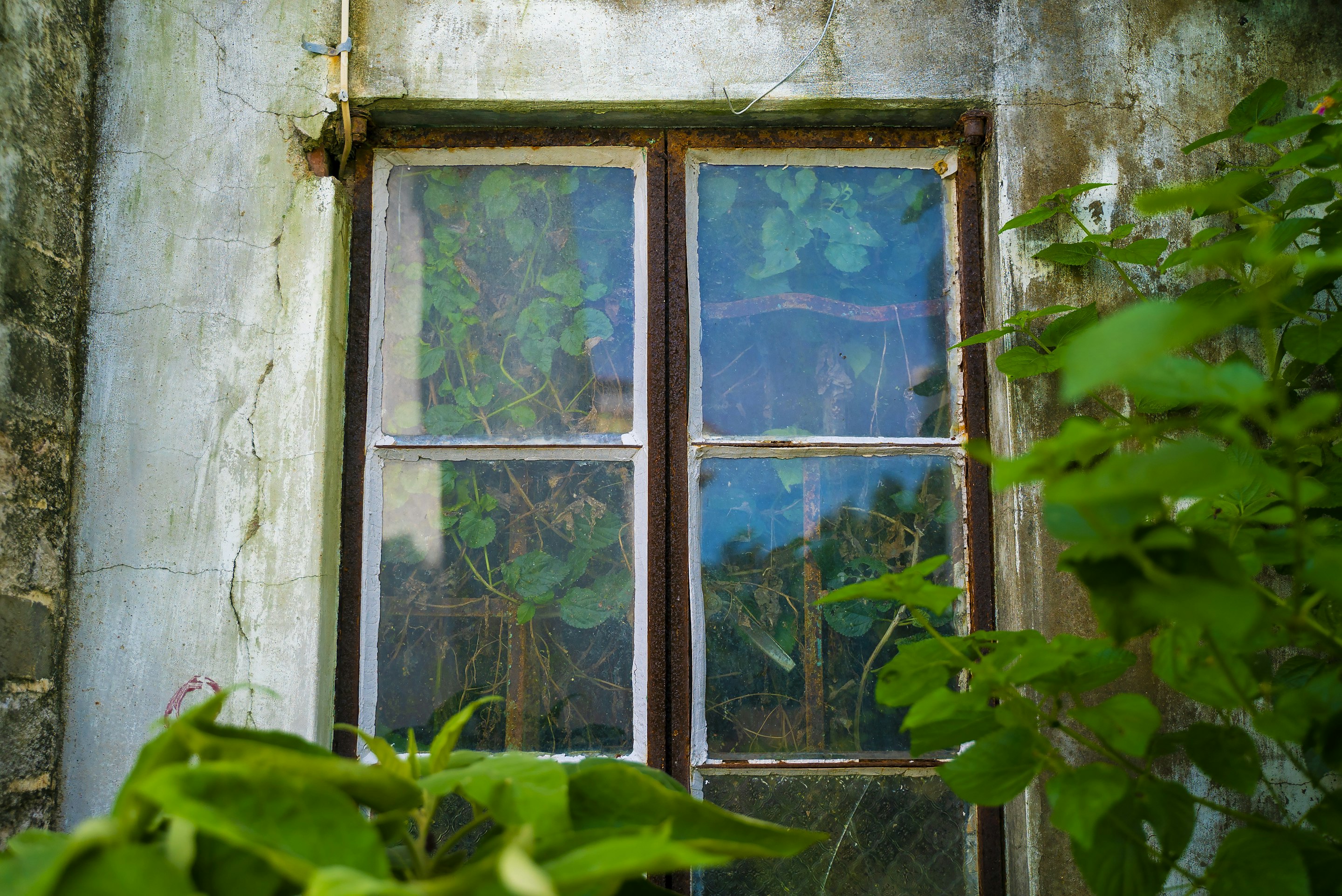 _DSC1493 -