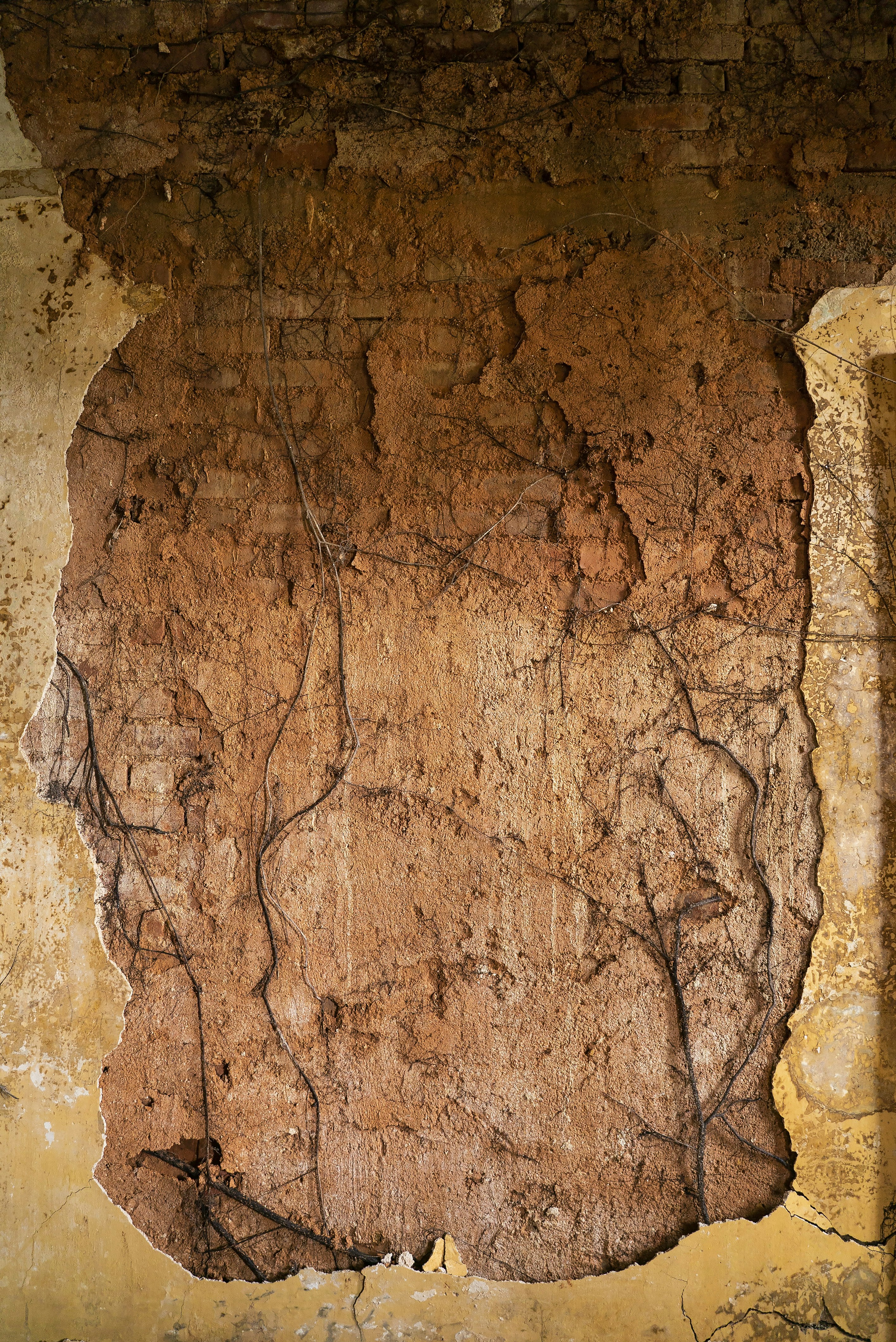 _DSC1210 -