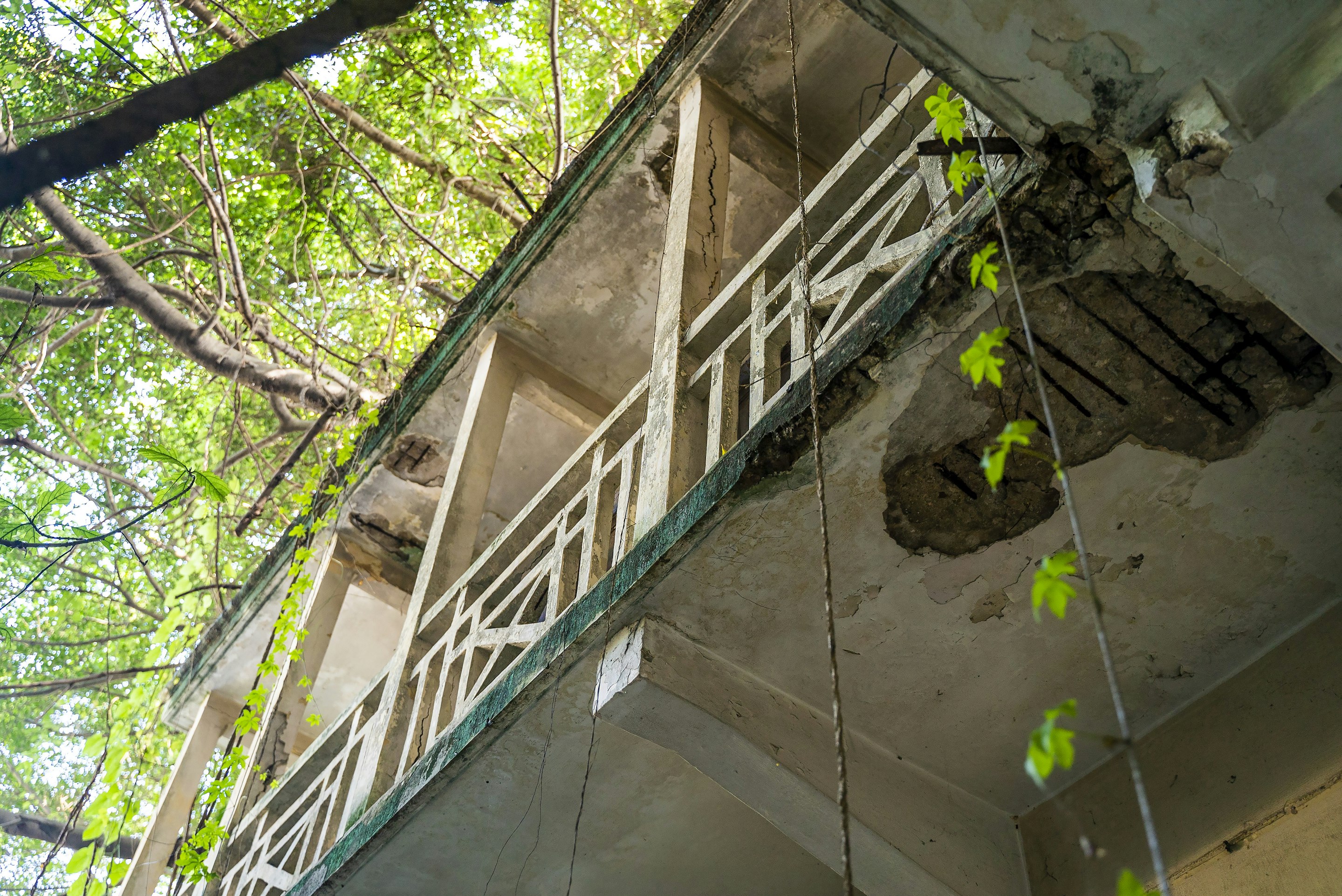_DSC1143 -