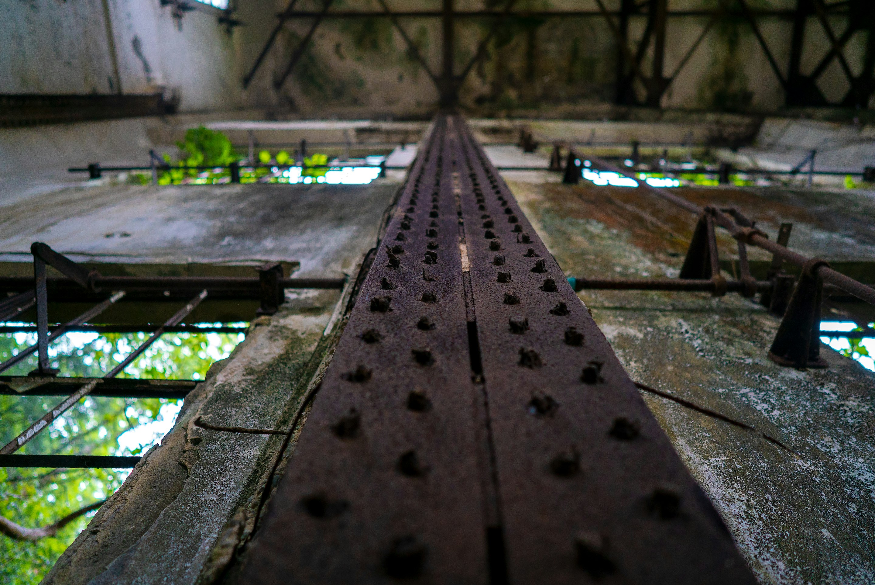 _DSC5542 -
