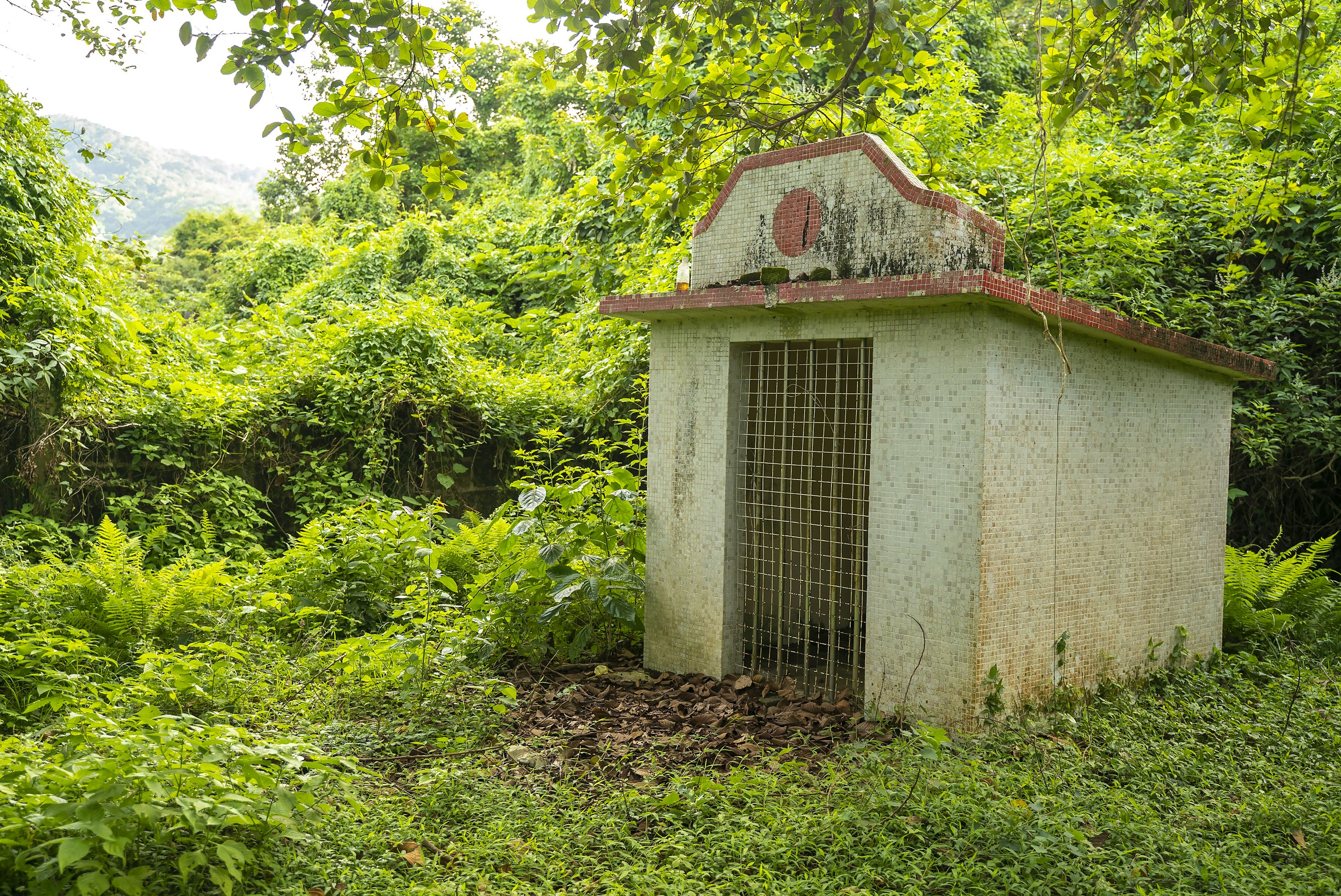 _DSC1557 -
