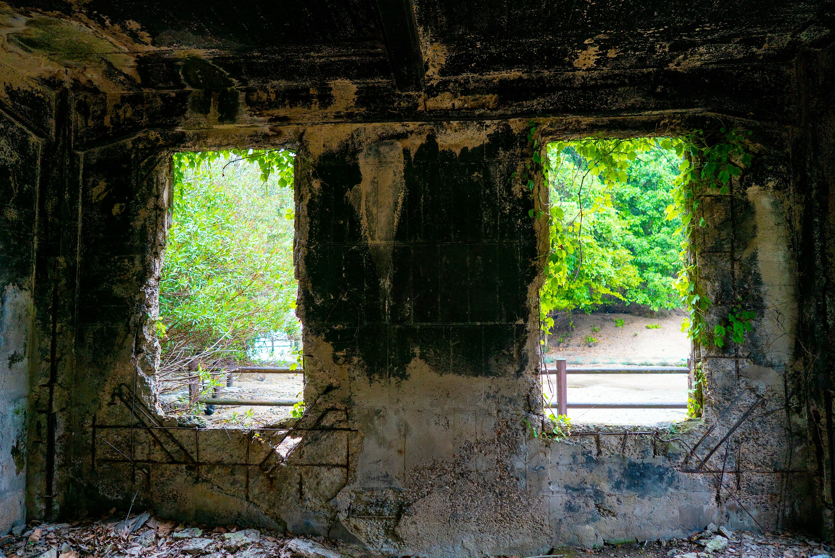 _DSC5633 -
