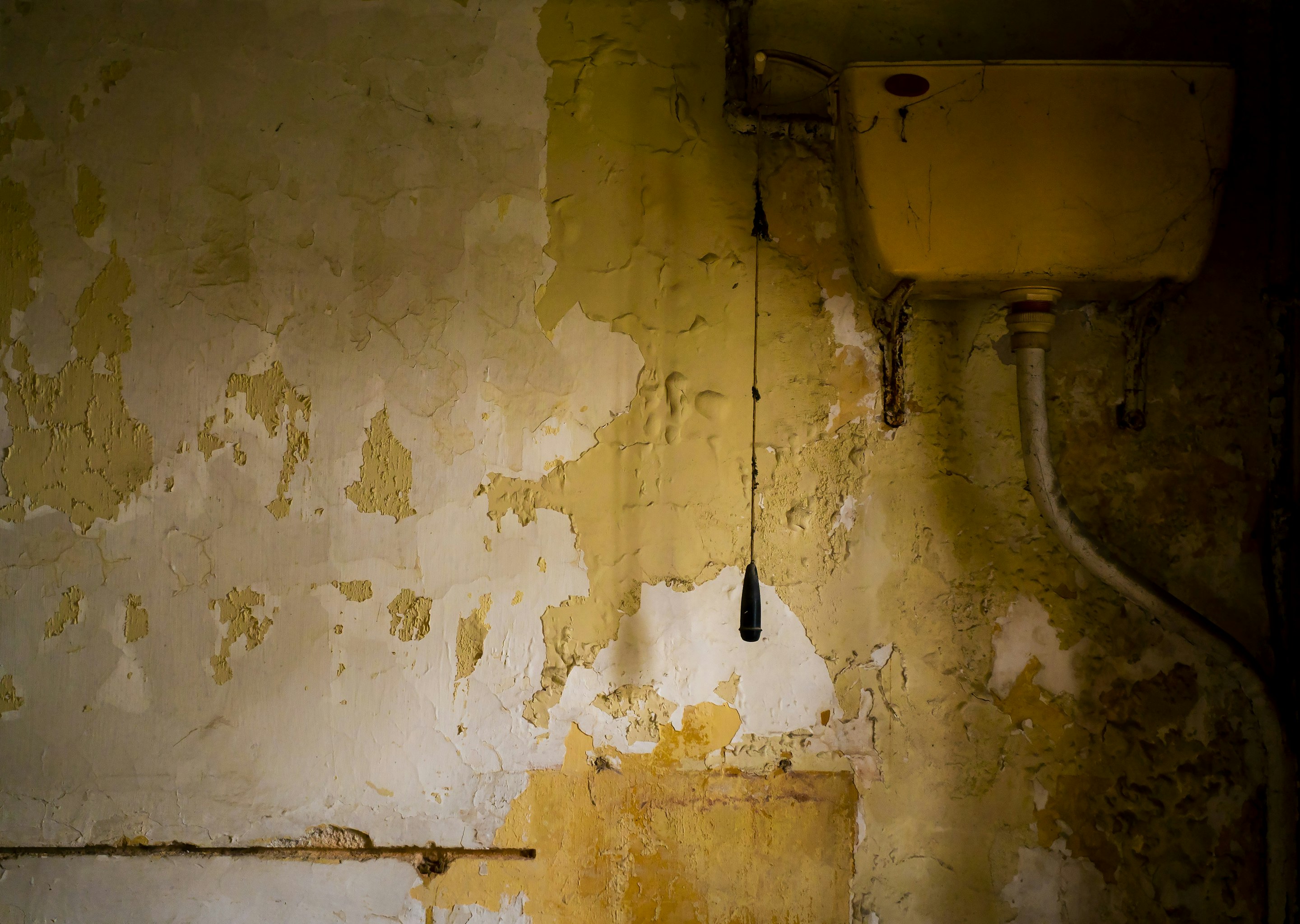 _DSC1208 -