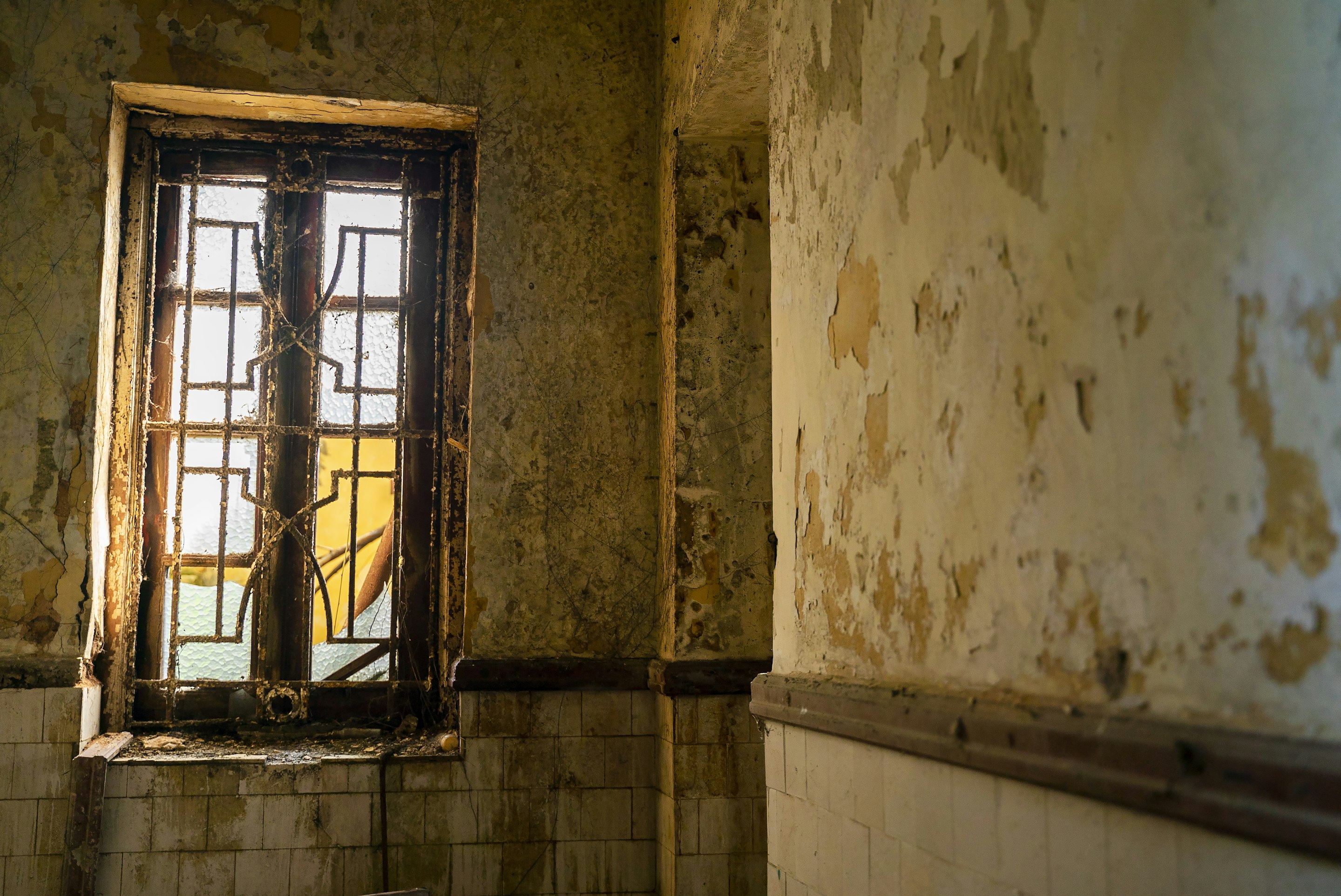 _DSC1150 -