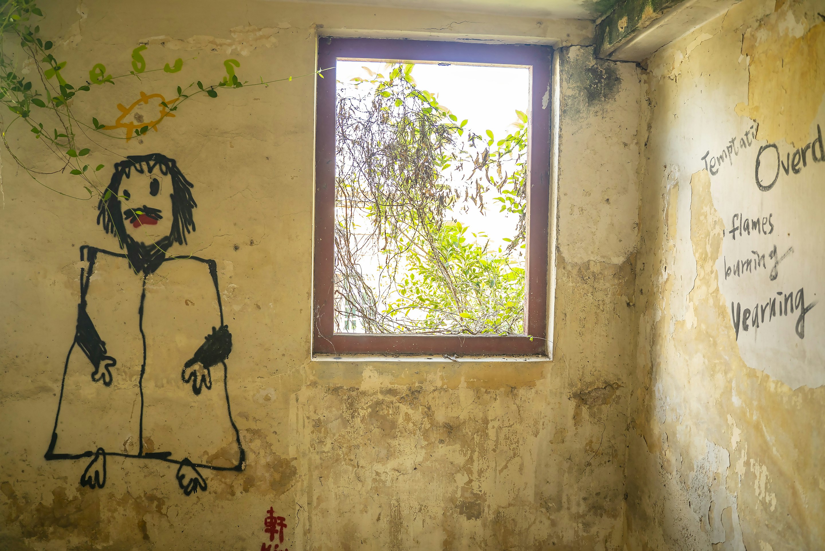 _DSC1243 -
