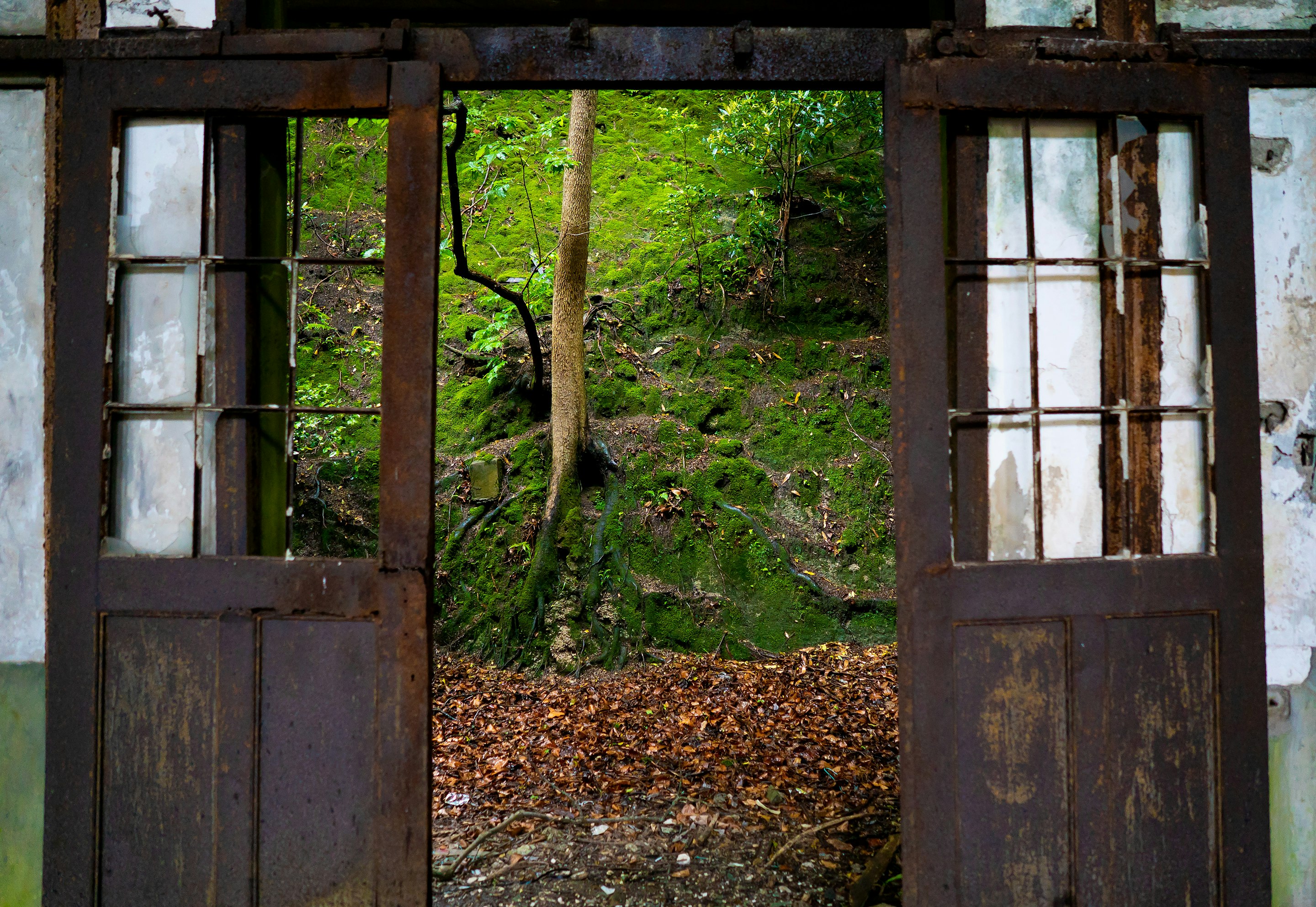 _DSC5483 -