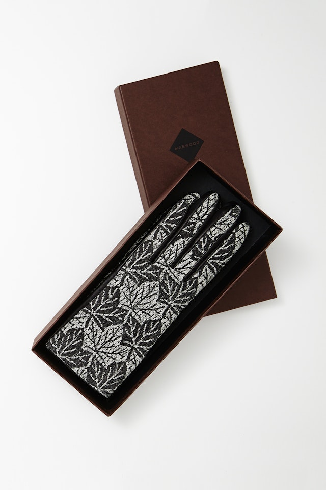Boxed_Gloves