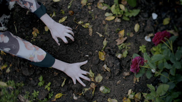 Harry Price: Ghost Hunter