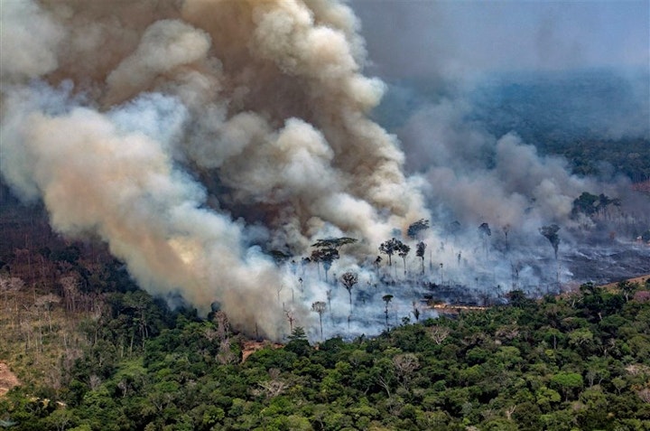 BRAZILIAN WILDFIRES: Holding UK Supermarkets To Account