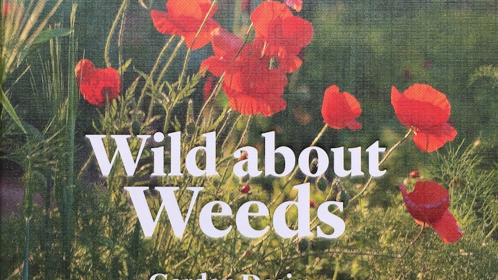 Wild about Weeds - by Jack Wallington - contributing photographer