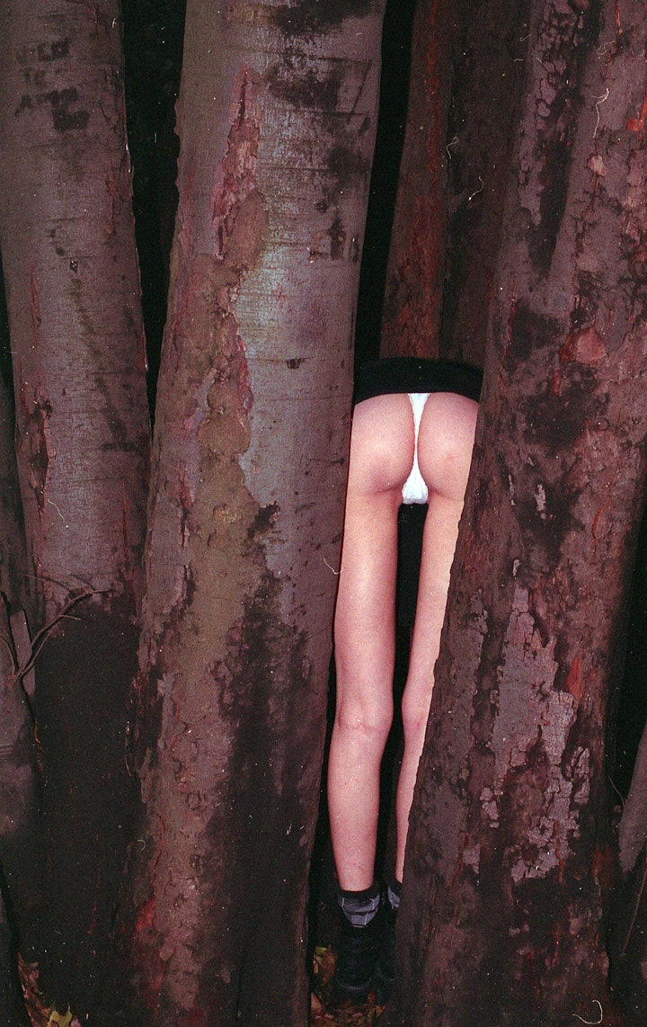 8  Johan Nieuwenburg -