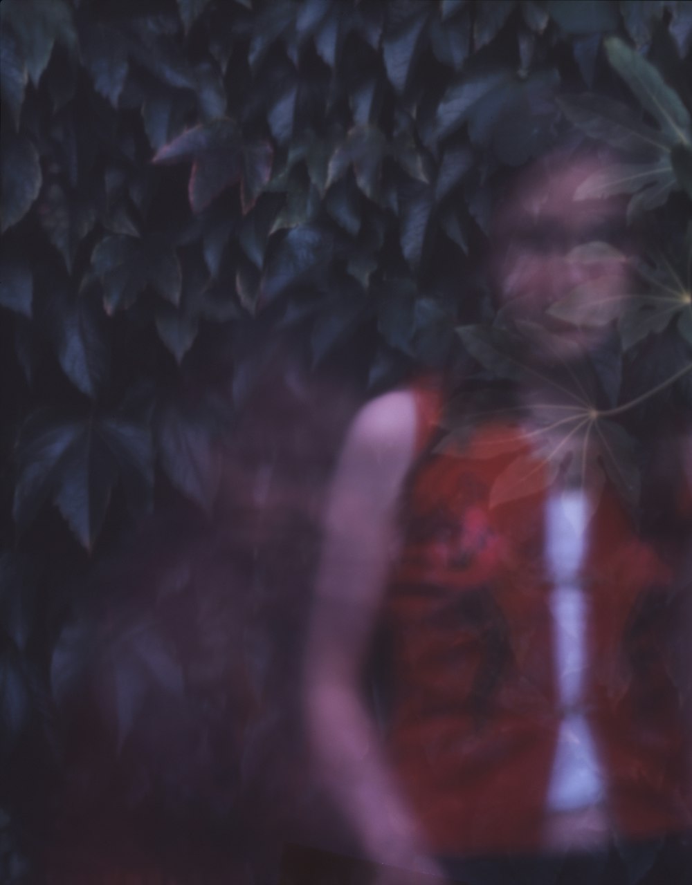 Anna Rackard Through a Looking Glass - ANNA RACKARD