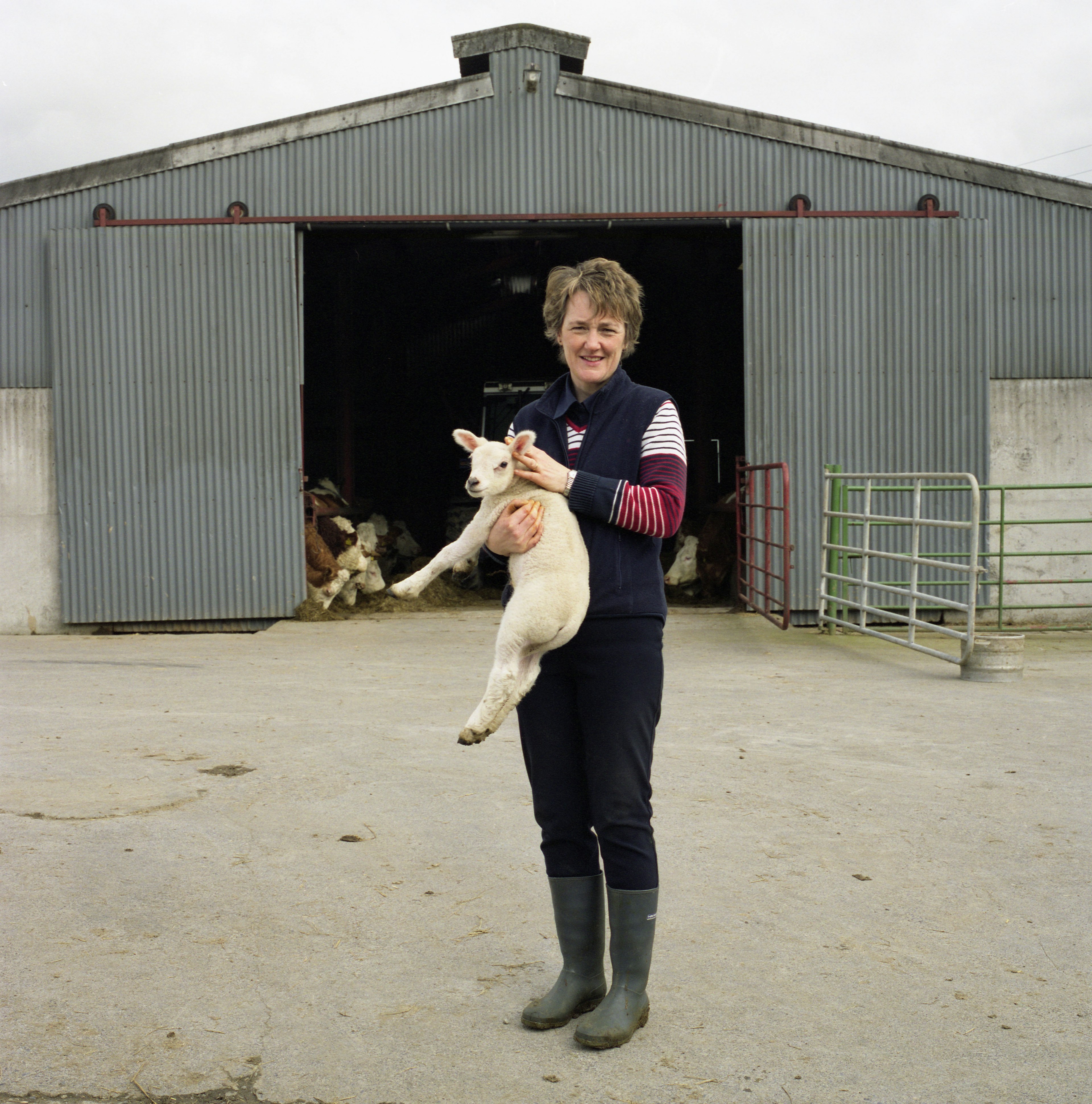 Anna Rackard Farmers - ANNA RACKARD
