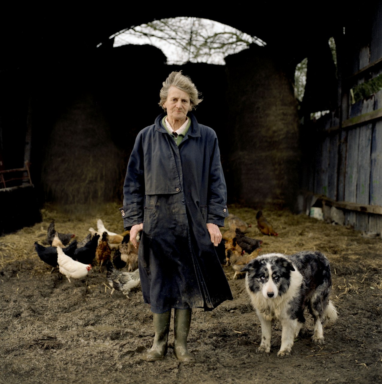 Anna Rackard Farmers - ANNA RACKARD