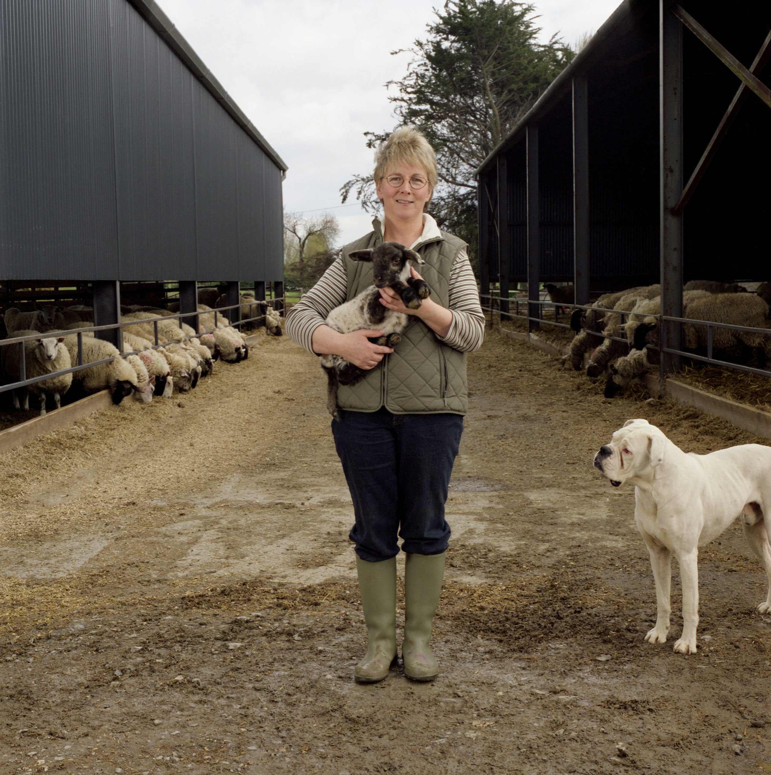 Anna Rackard Farmers - ANNA RACKARD