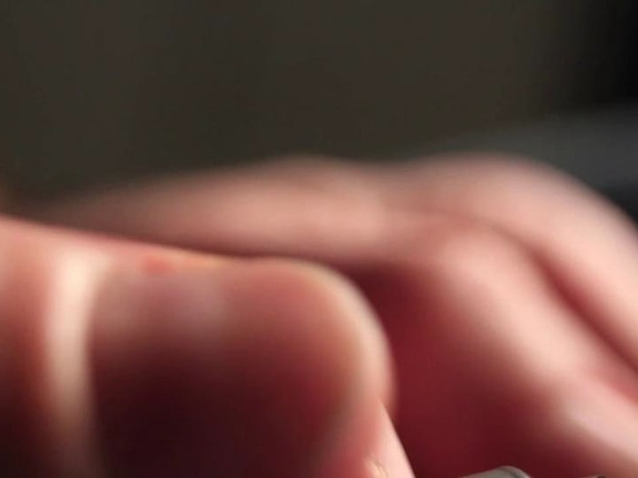 An interview with Will & Longbird