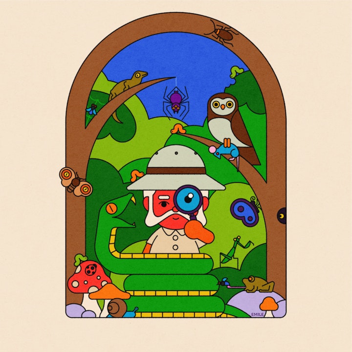 Emile the Illustrator - iSpy Nature