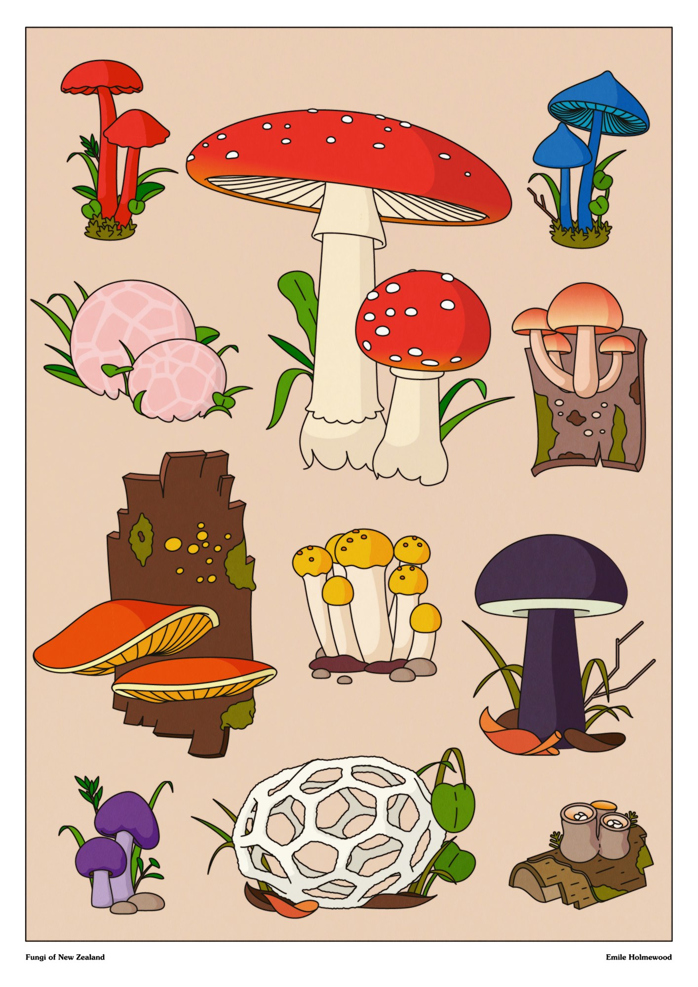 Emile - mushrooms poster_screen