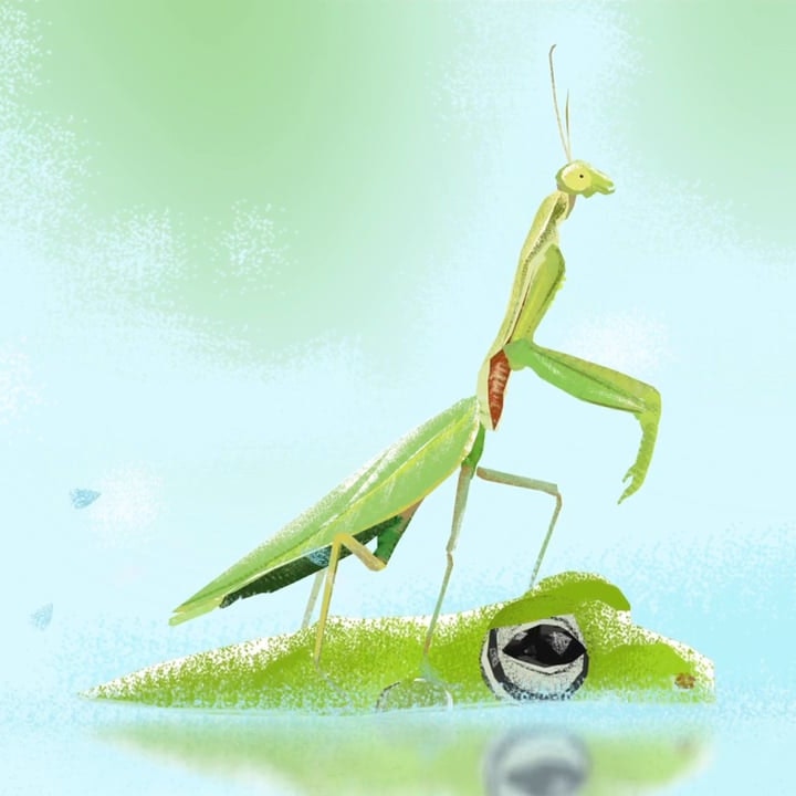 YUKIMOTION - Water Rituals - Praying Mantis Vs Frog