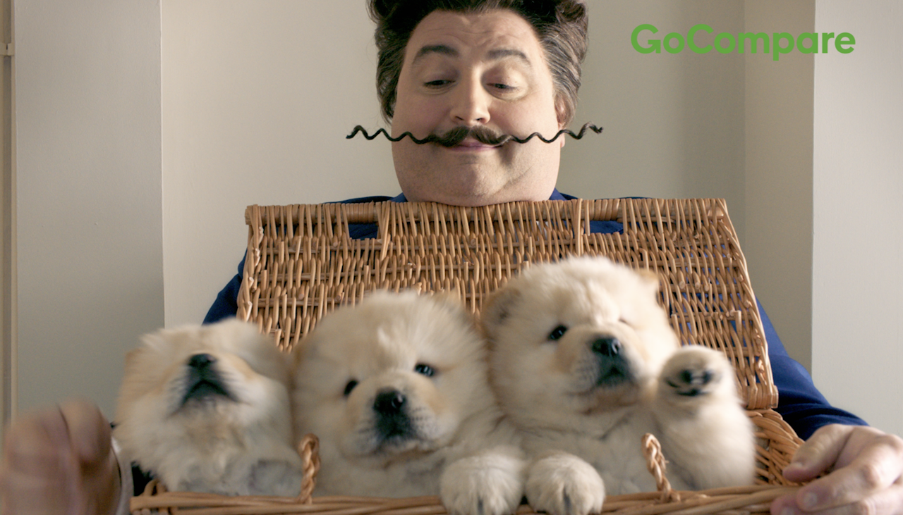 Go Compare Pet Project PI Film Network Go compare pet project pi film network
