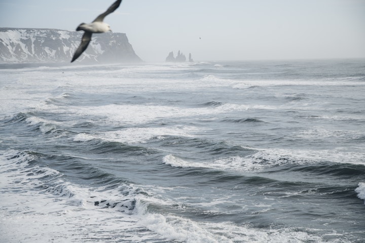 Location scout / Reynisfjara