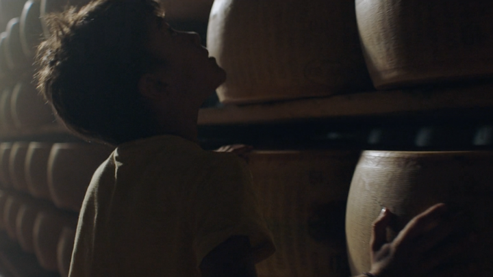 parmigiano reggiano - family