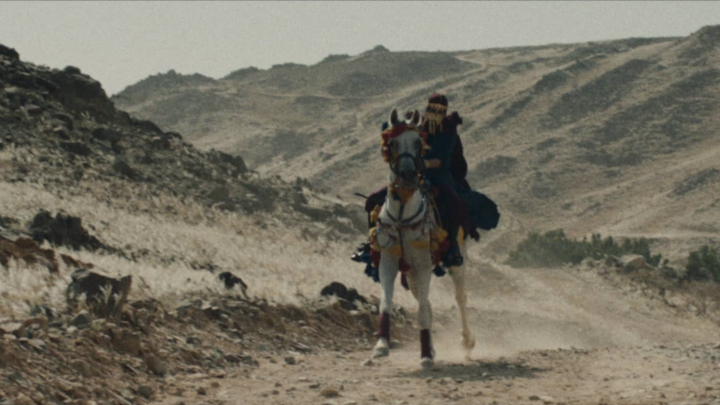 the arabian grey