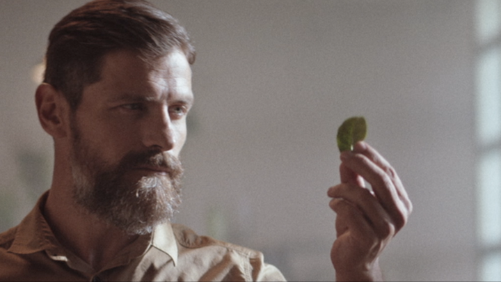 fuze tea - tea master