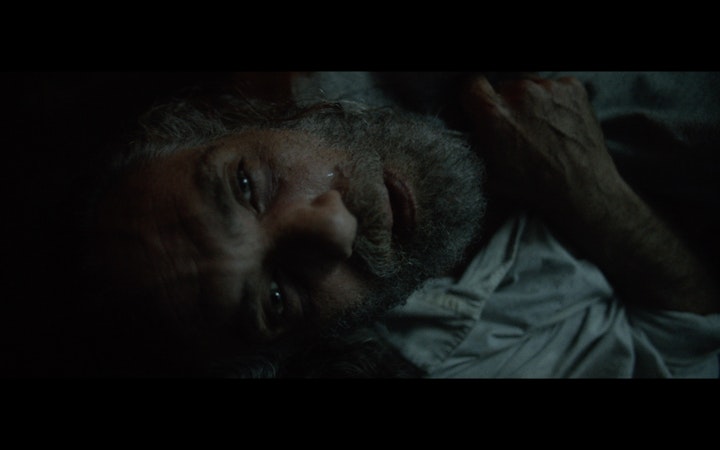 THE ENLIGHTENING BLISS // AMARO MONTENEGRO -