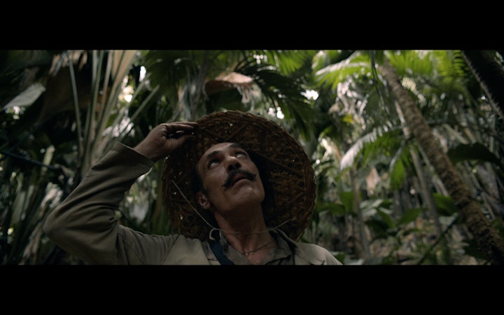 THE ENLIGHTENING BLISS // AMARO MONTENEGRO -