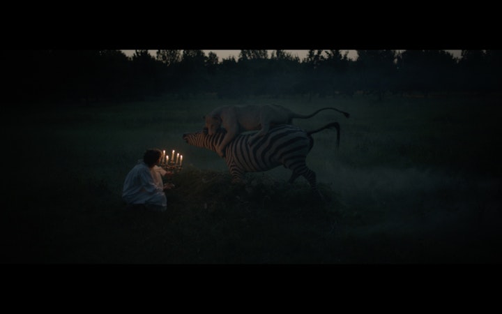 THE ENLIGHTENING BLISS // AMARO MONTENEGRO -