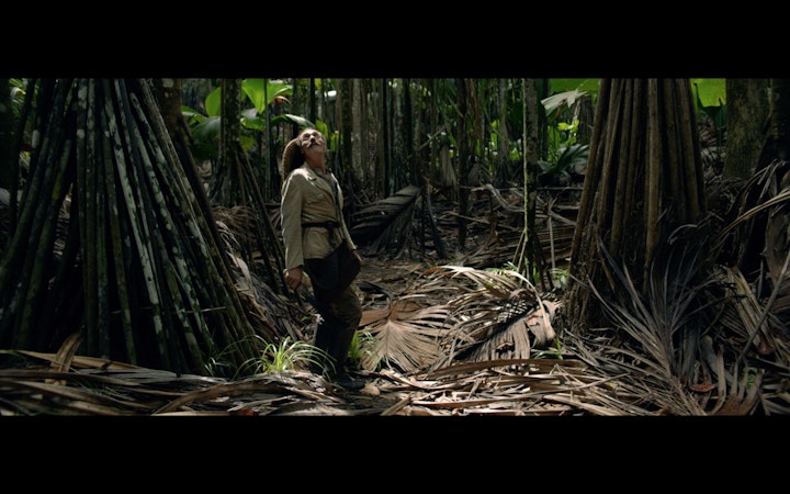 THE ENLIGHTENING BLISS // AMARO MONTENEGRO -