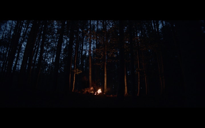 THE ENLIGHTENING BLISS // AMARO MONTENEGRO -