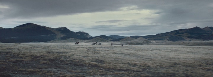 PIONEERS -