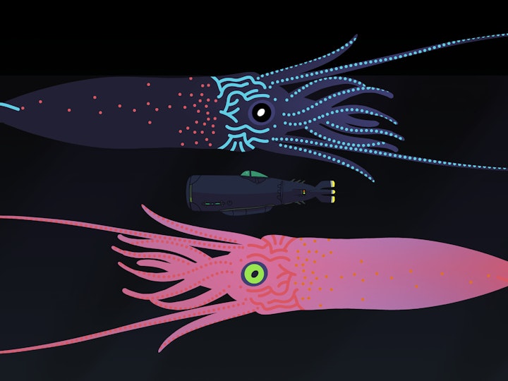 Character Design bora-demirbilek-mzr-squids