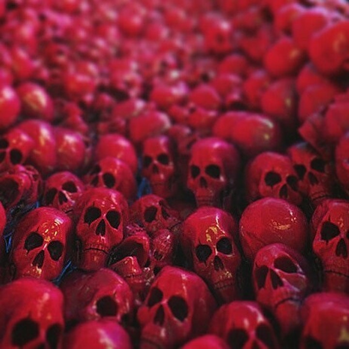 LAB skulls