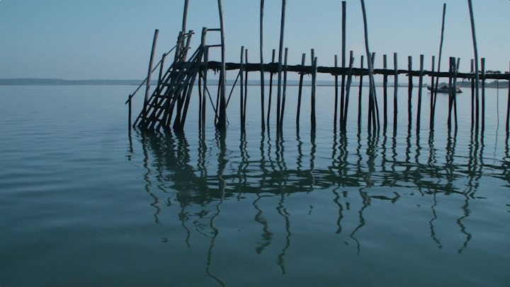 YOUTHLESS | ATTENTION