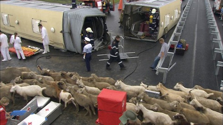 Co-directing works of Aernout Mik -