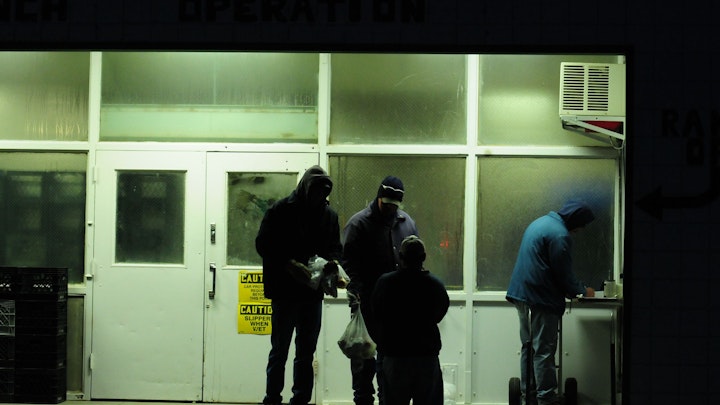 Among Horses and Men, documentary 70 min - a brand new day