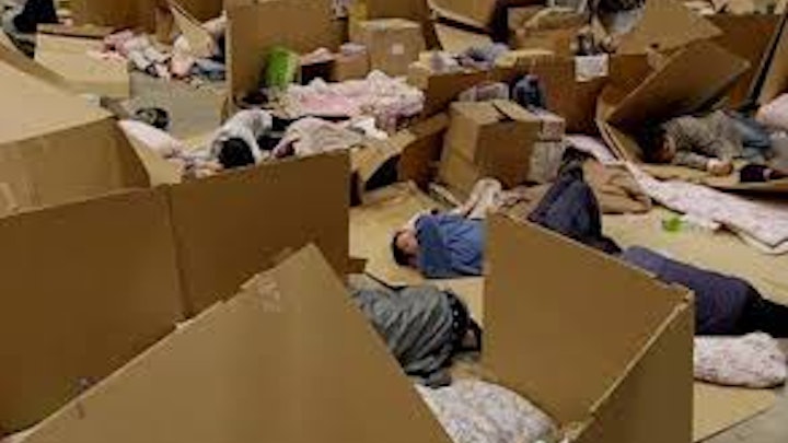 Co-directing works of Aernout Mik -